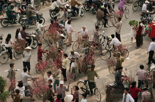 Ảnh chợ hoa ngày Tết diễn ra trên lề đường song song với đường phố tấp nập người qua lại mua sắm.