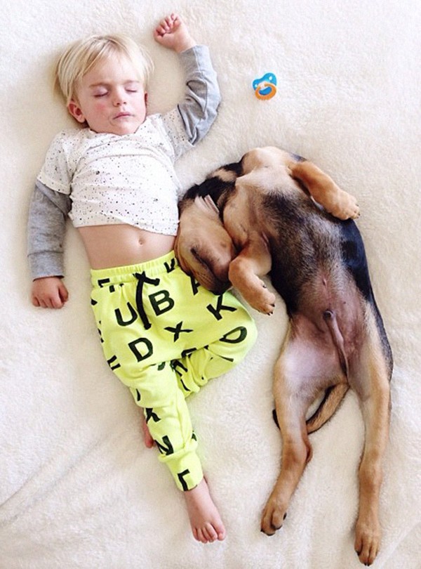 Để đáp lại sự yêu thích của mọi người, mẹ cậu bé Beau đã tiếp tục cho đăng tải những hình ảnh của con mình cùng chú chó này.