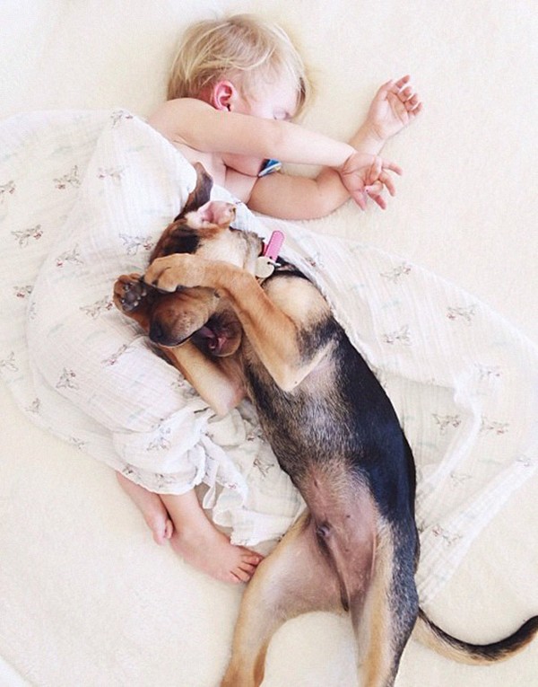 Hàng ngày, chú chó Theo thường nằm đợi cậu bé Beau ngủ rồi leo lên giường ngủ cùng cậu bé.