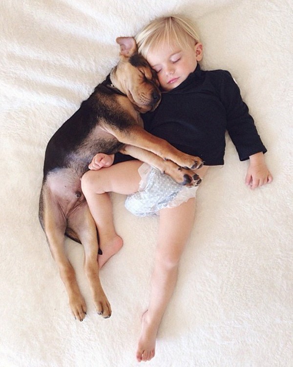Khi con trai Beau lên 3 tuổi, vợ chồng cô Jessica Shyba quyết định nuôi 1 chú cún con 7 tuần tuổi và đặt tên cho nó là Theo.