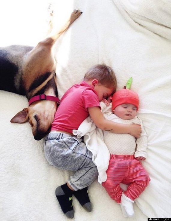 Những hình ảnh vô cùng đáng yêu của hai anh em Beau, Evvie và chú chó Theo được mẹ Shyba chụp trong những lúc cả 3 cùng ngủ trưa: