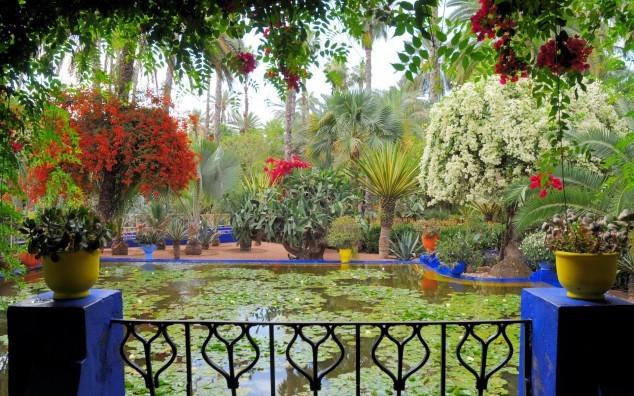 Một trong những điểm đến thu hút nhiều khách du lịch tại Marocco chính là khu vườn độc đáo của họa sĩ người Pháp Jacques Majorelle.