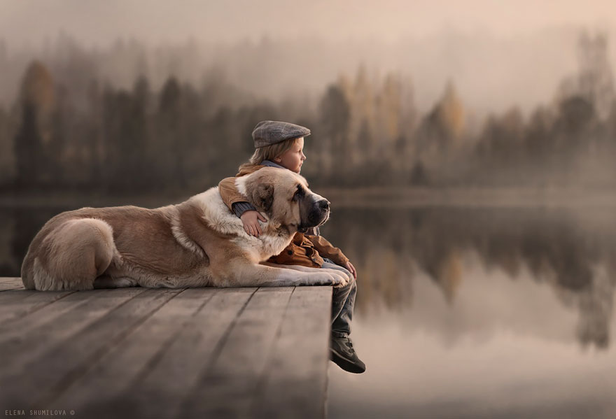 Cậu chủ nhỏ và chú chó ngồi ngắm cảnh hồ thanh bình.