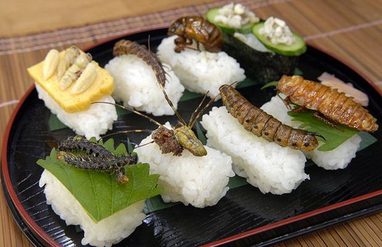 Một đĩa sushi côn trùng.