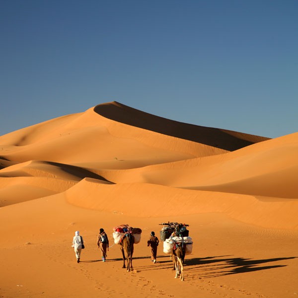Với nền nhiệt độ luôn cao quanh năm, đỉnh điểm có thể lên tới 57 độ C, du khách đến với Sahara sẽ không có dịp tận hưởng không khí rét buốt của mùa đông tại đây.
