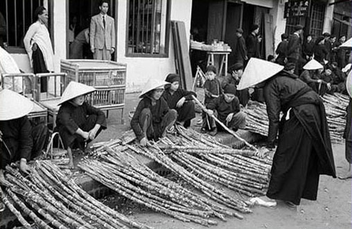 Ngày Tết người Việt có phong tục cúng cây mía để ông bà ông vải dùng làm gậy chống.