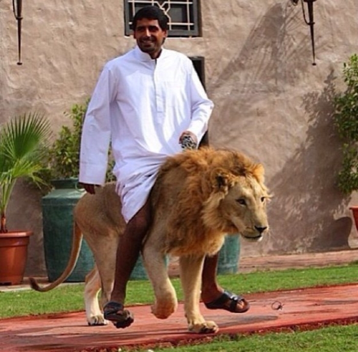 Ở thủ đô Dubai của các tiểu vương quốc A-rập thống nhất (UAE). Tại đây, du khách sẽ được chiêm ngưỡng những thú chơi dị của những đại gia.
