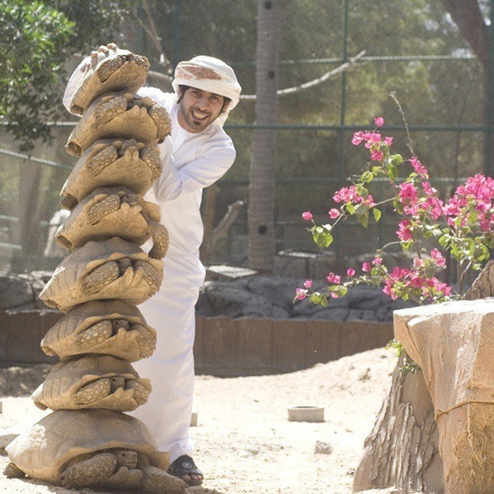 Chơi trò xếp hình tháp bằng những con rùa thật, trò tiêu khiển chưa từng thấy của một tay nhà giàu Dubai.