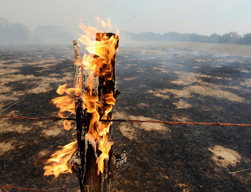 Trong một đợt hạn hán kỷ lục ở Mỹ, một hàng rào bốc cháy sau vụ cháy rừng gần Bastrop, bang Texas ngày 5/9/2011.