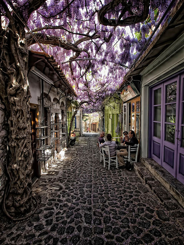 Một khoảng không gian tím mộng mơ tại thị trấn Molyvos, thuộc đảo Lesvos, Ai Cập.