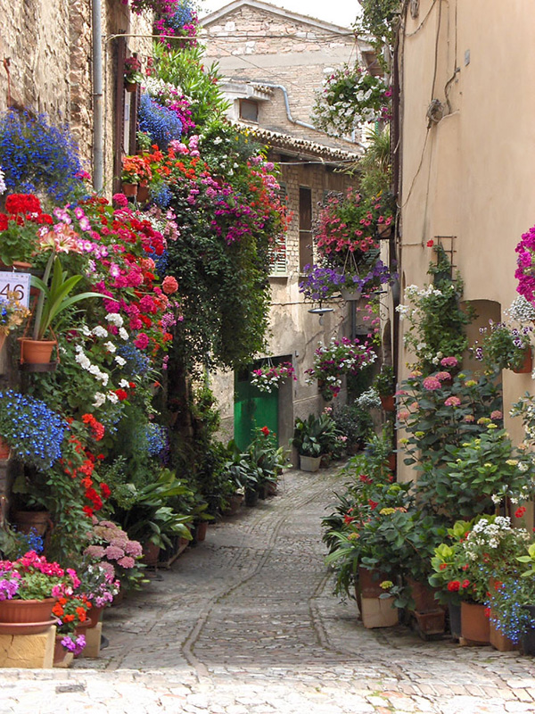 Con đường cổ tích của thị trấn Spello, ở Umbria, Italy, khiến du khách ngỡ ngàng với hàng trăm sắc hoa khoe thắm.