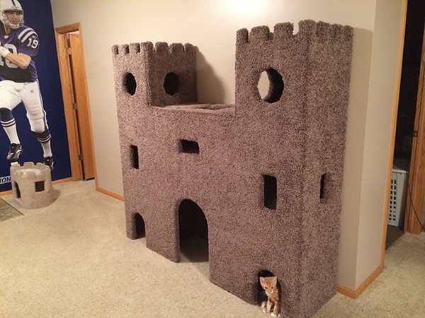 Chú mèo sở hữu một tòa lâu đài vững chắc.