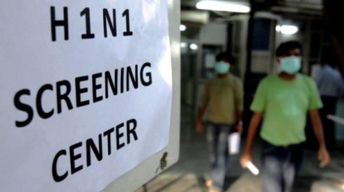 Dịch cúm gia cầm H7N9, cúm lợn H1N1 bùng phát mạnh