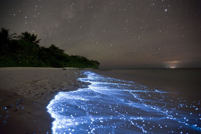 Biển sao trên đảo Vaadhoo, Maldives: Vùng biển lấp lánh trông như một tấm gương phản chiếu bầu trời đầy sao phía trên. Trên thực tế, đó là một loại phù du có khả năng phát ra ánh sáng xanh nhạt trong bóng tối.