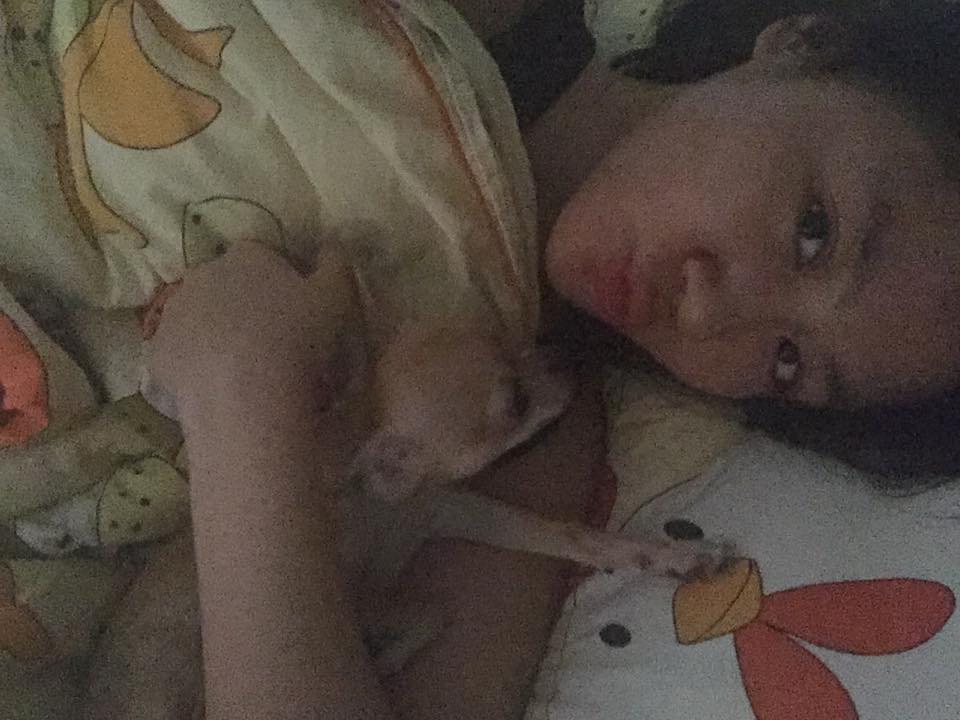 Văn Mai Hương khoe ngủ với cún cưng.