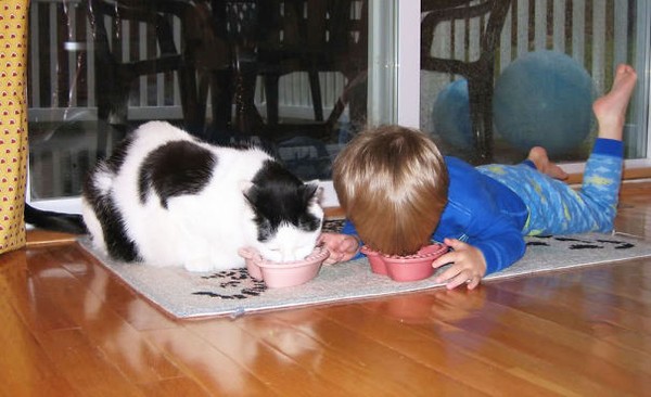 Khi mèo ăn cơm, cậu chủ nhỏ cũng nằm ra ăn theo phong cách của mèo luôn.