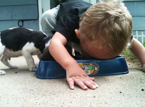 Còn cậu bé này thì đang cúi xuống ăn tranh đồ ăn của chó.