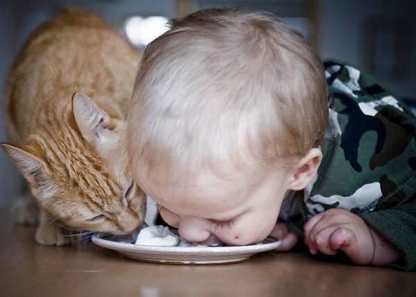 Đồ ăn của mèo ngon thế nhỉ?
