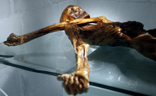 Xác ướp của người băng Otzi được tìm thấy năm 1991 ở một sông băng tại Italy. Nó được trưng bày tại bảo tàng khảo cổ học Bolzano ngày 28/2/2011.