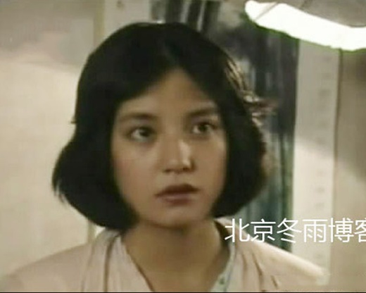 Giai đoạn đầu, Triệu Vy chỉ tham gia một số vai diễn nhỏ trên truyền hình.