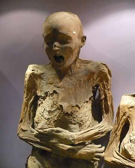 Những xác ướp tại bảo tàng Guanajuato ngày nay đã gần 150 năm tuổi, trở thành một phần di sản của thủ đô Guanajuato.
