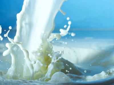 Sữa có chứa hàm lượng lớn protein. Khi đói mà uống sữa, lượng protein trong sữa sẽ bị chuyển hóa và tiêu thụ thành năng lượng nhiệt, không còn chức năng là chất bổ dinh dưỡng nữa.