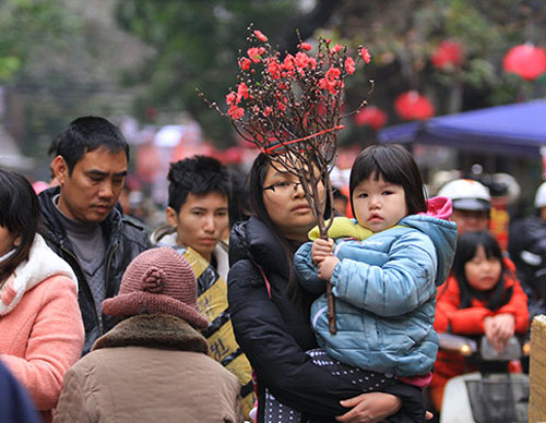 Nhiều gia đình vừa đi chơi Tết vừa tranh thủ sắm cành hoa đào về cúng Táo quân.