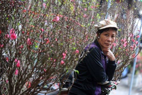 Chợ hoa đào phố Hàng Lược (Hoàn Kiếm) trở thành nét văn hóa đặc trưng những ngày cuối năm.