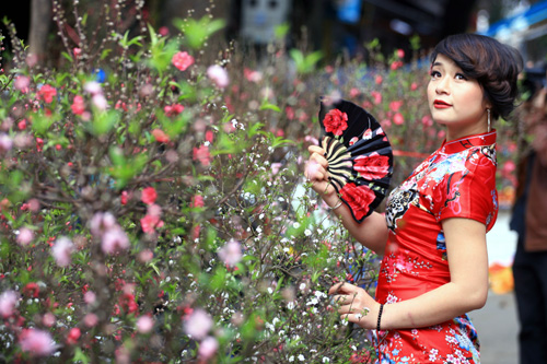 Hoa đào chủ yếu có xuất xứ từ Nhật Tân, La Cả... những làng đào nổi tiếng Hà Thành.