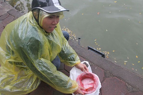 Người Việt quan niệm, ngày 23 tháng Chạp Âm lịch thường mua cá chép đỏ về cúng Táo quân. Sau lễ cúng là lễ phóng sinh, cá chép được thả tại các khu vực sông hồ