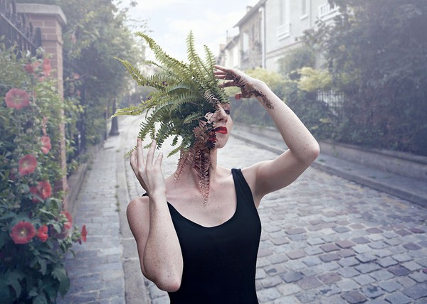 Thiếu nữ với cây dương xỉ được nhiều người thích thú.