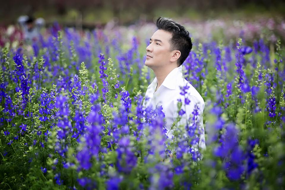 Mr. Đàm lãng mạn giữa vườn hoa violet trong không khí đón Tết 2015.