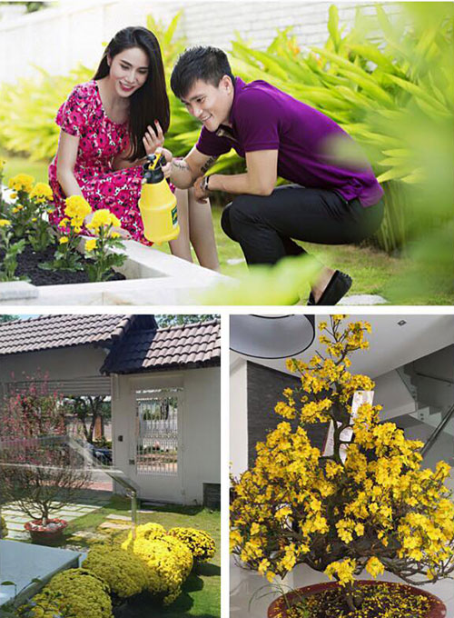 Vợ chồng Thủy Tiên - Công Vinh hào hứng chăm vườn hoa tràn ngập sắc vàng tươi tắn.