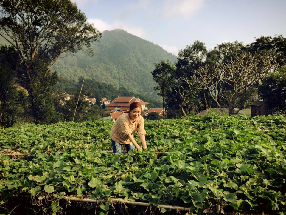 Hoàng Thùy Linh vừa có một năm rất thành công trên con đường ca hát của mình.