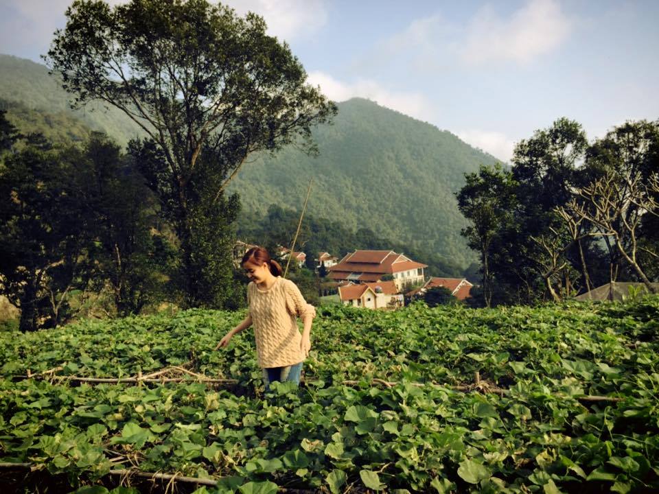 Hoàng Thùy Linh hứa hẹn sẽ có năm 2015 bùng nổ với nhiều kế hoạch, dự án mới.