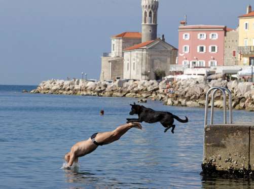 Người đàn ông và con chó của mình nhảy xuống dưới nước.