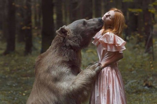 Nhiếp ảnh gia người Nga, Katerina Plotnikova đã nhờ đến sự giúp đỡ của chuyên gia động vật để chụp bức ảnh tình cảm với chú gấu. Đây không phải là bức ảnh photoshop như nhiều người nghĩ.