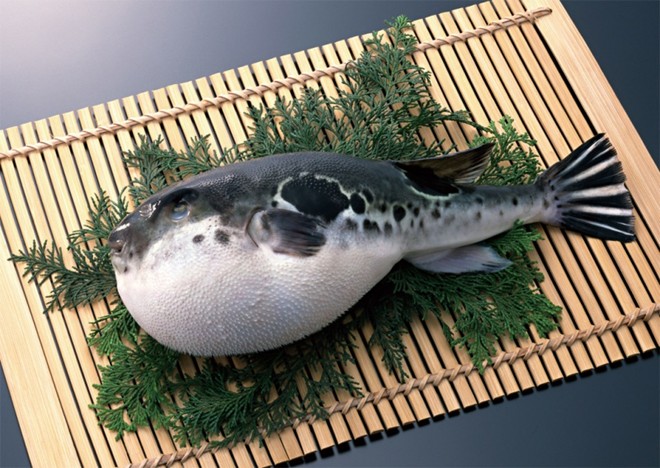 Cá nóc (Nhật Bản): Nếu không chế biến đúng cách (loại bỏ hết phần gan và buồng trứng), người ăn thịt cá nóc có thể chết trong vòng vài tiếng. Bởi nó có chứa tetrodotoxin, làm tê liệt cơ bắp, dẫn tới ngạt thở. Để chế biến được thực phẩm này, đầu bếp ở Nhật phải thực tập 3 năm.