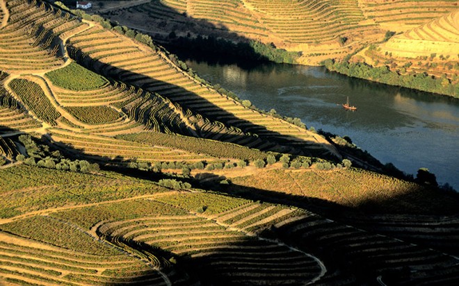 Sông Douro là một trong số những dòng sông chính của bán đảo Iberia thuộc Bồ Đào Nha. Dọc theo sông Douro là những ruộng bậc thang ở Varosa, Corgo, Távora, Torto và Pinhão với cánh đồng nho và nhà máy sản xuất rượu vang.