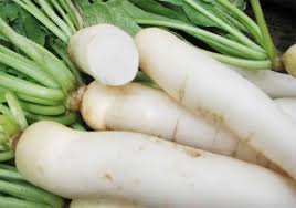 Củ cải trắng có công dụng sát khuẩn nói chung. Ngoài ra củ cải còn có khả năng giảm mỡ, đường máu, giảm huyết áp. Và có thể chữa một số bệnh chuyển hóa, bệnh về máu (hoạt huyết, chỉ huyết)...