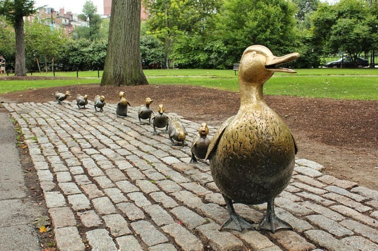Dựa trên câu chuyện về một đôi vịt trời chọn một hòn đảo ở vùng đầm phá của công viên làm nơi sinh sống cho cả gia đình, con đường với 9 con vịt mẹ con này được dựng ngay trong Công viên Boston, Mỹ.