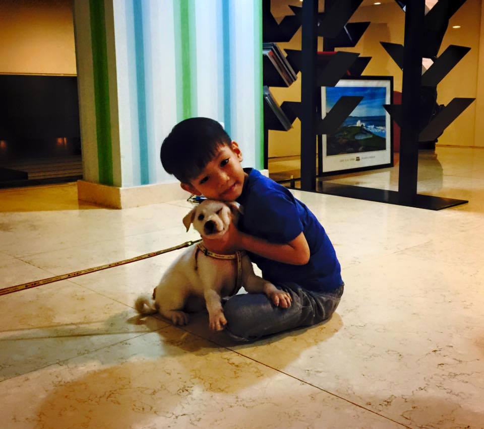 Cách đây vài hôm, Cường đô la và con trai Subeo tỏ ra rất thích thú và hạnh phúc khi trong nhà xuất hiện người bạn mới - một chú cún nhỏ xinh.