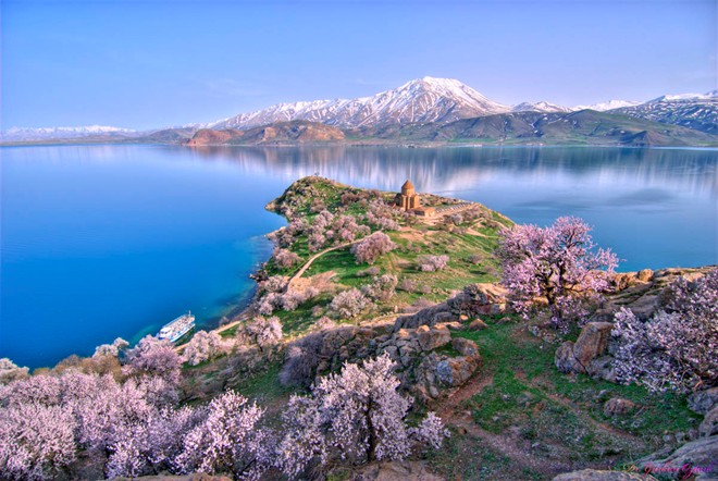 Những cây đào nở hoa hồng rực trên thảm cỏ xanh, xa xa là đỉnh núi phủ tuyết đem lại cho hòn đảo Đảo Akdamar (Thổ Nhĩ Kỳ) một vẻ đẹp thần tiên.