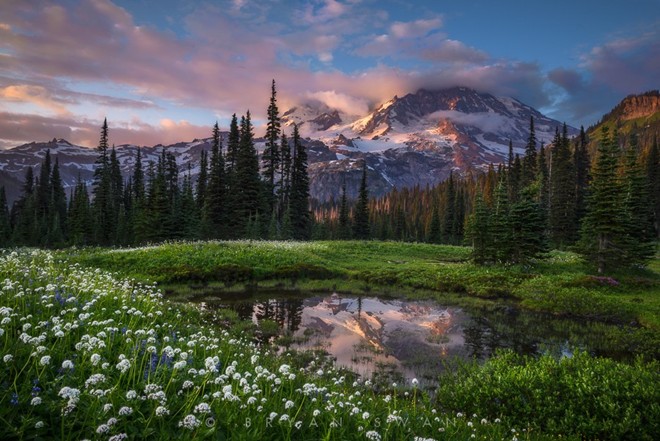 Mùa xuân đã làm tan băng tuyết và đem màu xanh về cho núi Ranier (Washington, Mỹ).
