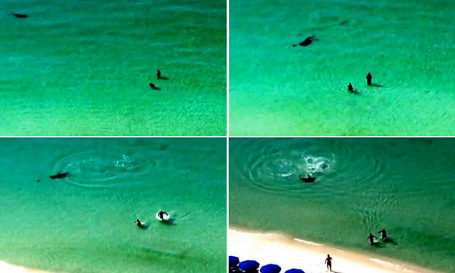Rợn người cảnh cá mập khủng tấn công hai du khách tắm biển
