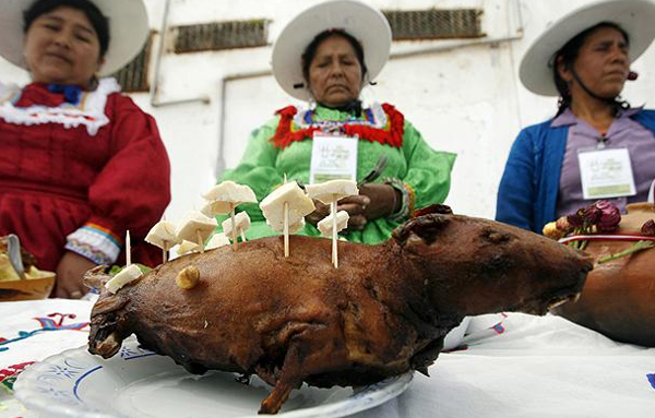 Đáng yêu nhất: Món chuột lang của người Peru được xem là món ăn có vẻ ngoài dễ thương hơn cả. Người Peru coi chuột lang là nguồn cung protein chính. Da của chúng có thể khá dai nhưng hương vị thịt không hề tệ, gần giống với thịt thỏ.