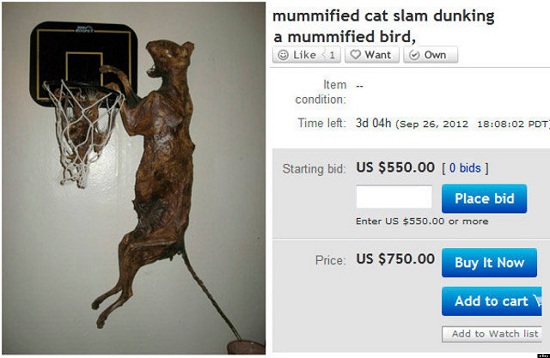 Xác ướp của mèo và một con chim cung được rao bán đấu giá trên ebay.
