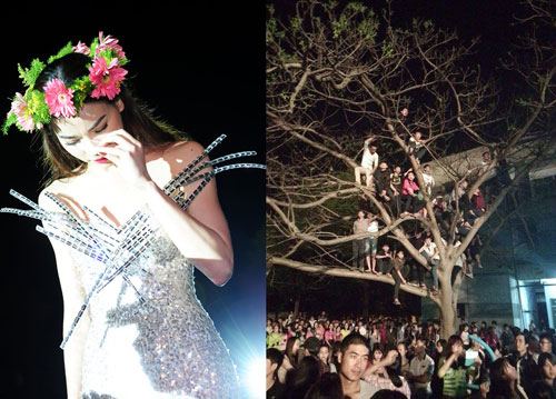 Khán giả trèo cây, leo cột điện xem Hồ Ngọc Hà hát