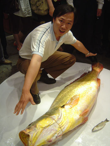 Theo Tiến sĩ Nguyễn Đức Cự, người có nhiều năm nghiên cứu về loài cá quý hiếm này cho biết: 'Đây là loài cá có giá trị kinh tế đặc biệt cao, giá trị thương mại trước năm năm 2007 khoảng 15 – 20 triệu đồng/kg'.