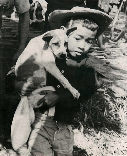 Một bé trai ôm chó theo chuyến di tán. Ảnh chụp ngày 16/1/1967. Ảnh: AP